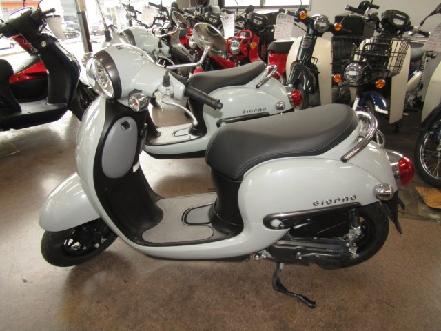 �z���_�W�����m�i���Q�����R�s�j�摜2