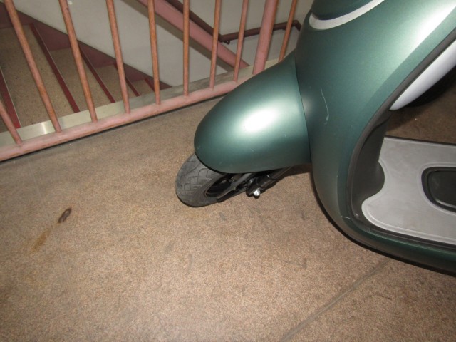 �z���_�W�����m�i���Q�����R�s�j�摜10