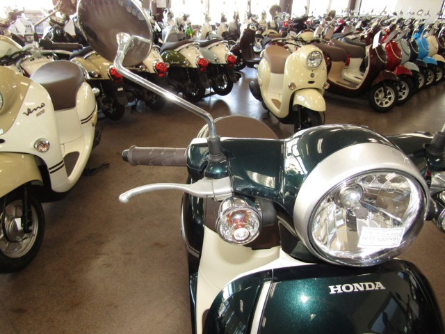 �z���_�W�����mDX�i���Q�����R�s�j�摜13