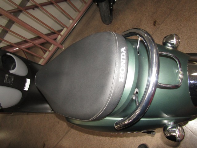 �z���_�W�����m�i���Q�����R�s�j�摜11