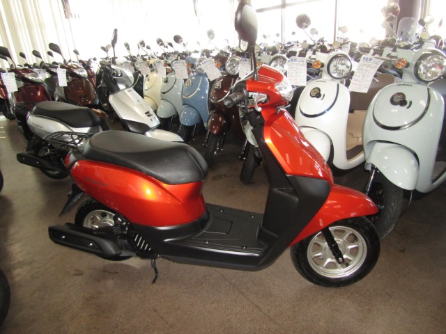 �z���_�^�N�g�E�x�[�V�b�N�i���Q�����R�s�j�摜1