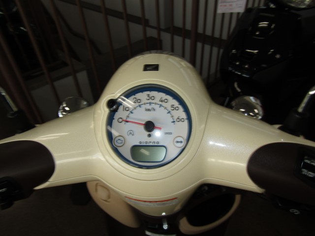 �z���_�W�����m�i���Q�����R�s�j�摜12