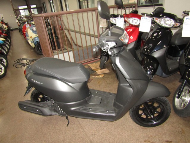 �z���_�^�N�g�i���Q�����R�s�j�摜1