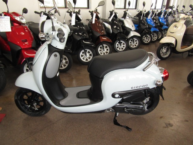 �z���_�W�����m�i���Q�����R�s�j�摜2