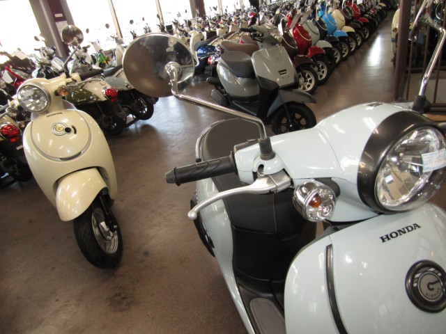 �z���_�W�����m�i���Q�����R�s�j�摜13