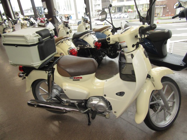 �z���_�X�[�p�[�J�u110�i���Q�����R�s�j�摜1