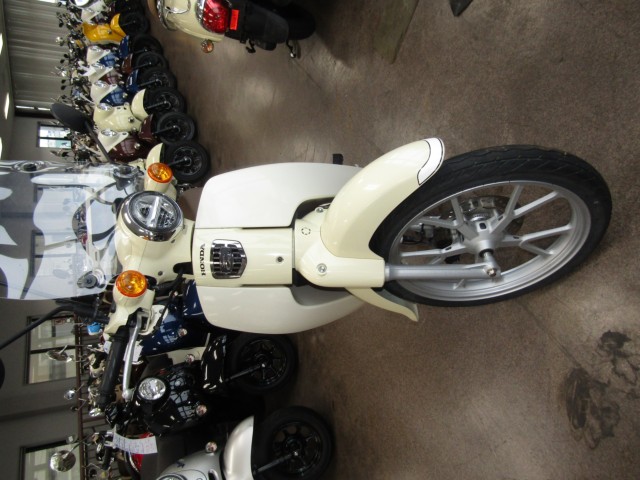 �z���_�X�[�p�[�J�u110�i���Q�����R�s�j�摜3