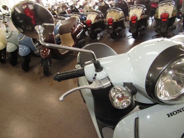 �z���_�W�����m�i���Q�����R�s�j�摜13