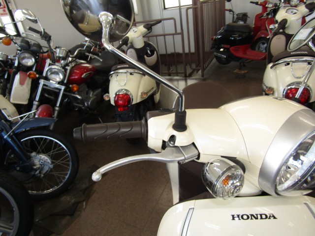 �z���_�W�����m�i���Q�����R�s�j�摜13