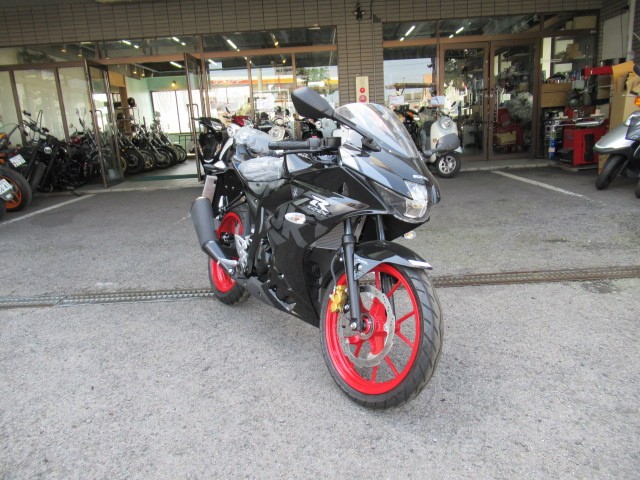 XYLGSX-R125EABSiQRsj摜20