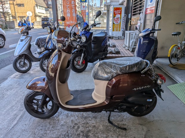 �z���_�W�����m�i���Q�����R�s�j�摜5