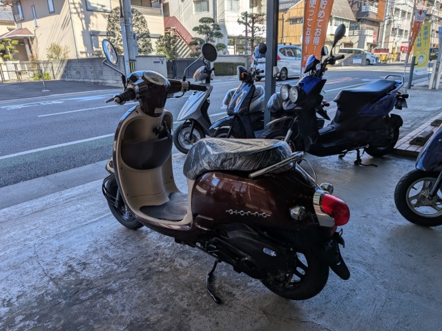 �z���_�W�����m�i���Q�����R�s�j�摜6