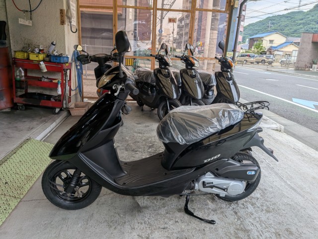 �z���_�f�B�I�i���Q�����R�s�j�摜5