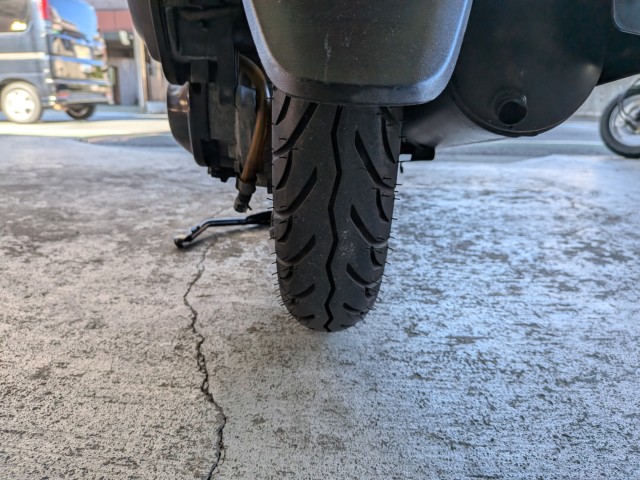 �z���_�W�����m�i���Q�����R�s�j�摜21