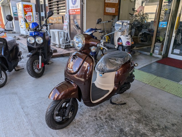 �z���_�W�����m�i���Q�����R�s�j�摜4