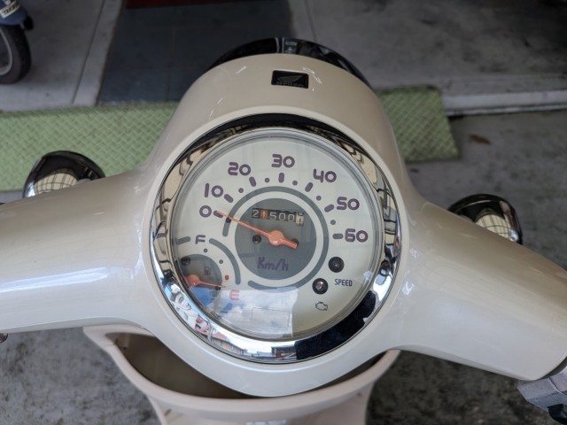 �z���_�W�����m�i���Q�����R�s�j�摜11