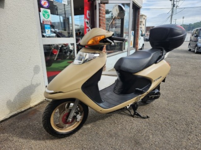 �z���_�X�y�C�V�[100�i���Q�����R�s�j�摜7