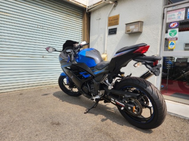 �J���T�LNinja250�i���Q�����R�s�j�摜5