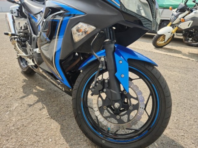 �J���T�LNinja250�i���Q�����R�s�j�摜7
