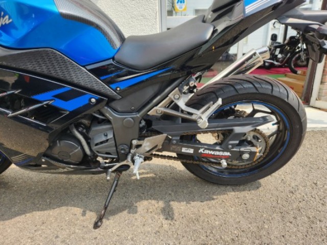 �J���T�LNinja250�i���Q�����R�s�j�摜10