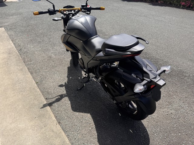 �X�Y�L�W�N�T�[250�i���Q���쑽�S���q���j�摜4