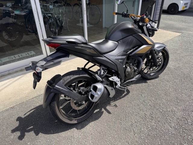 �X�Y�L�W�N�T�[250�i���Q���쑽�S���q���j�摜6
