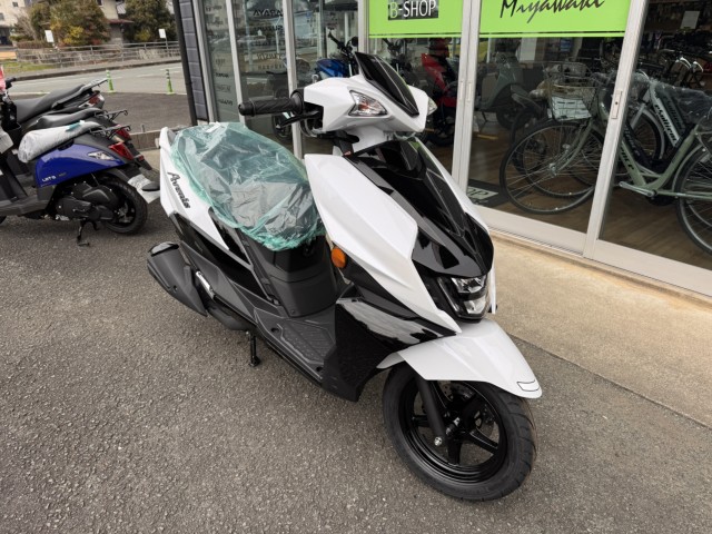 �X�Y�L�A���F�j�X125�i���Q���쑽�S���q���j�摜4