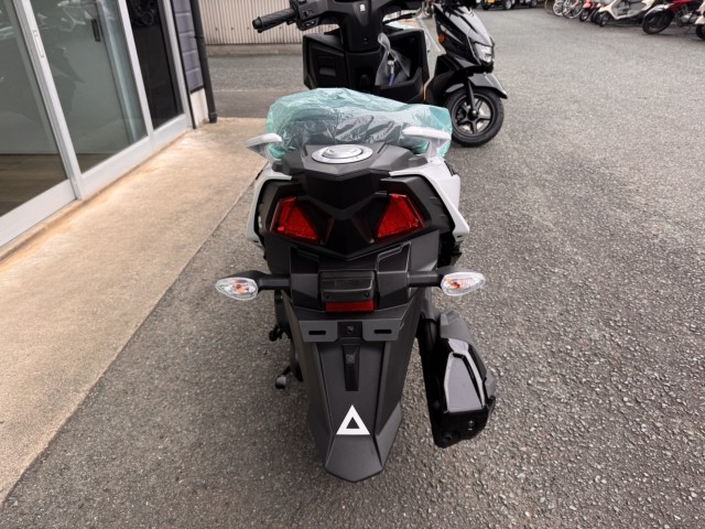 �X�Y�L�A���F�j�X125�i���Q���쑽�S���q���j�摜3