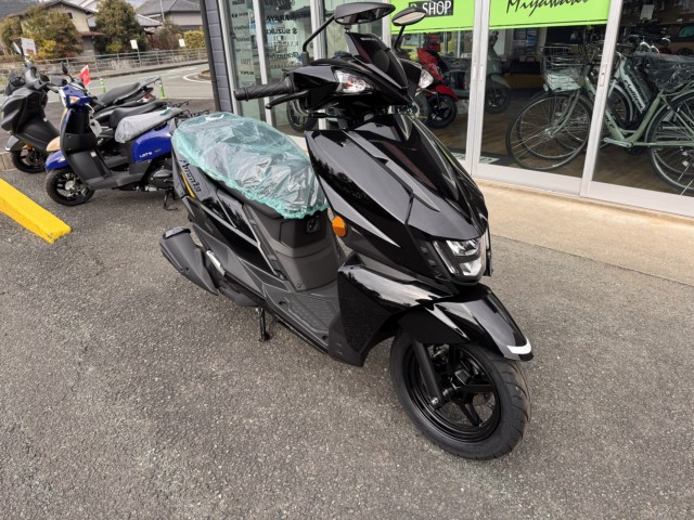 �X�Y�L�A���F�j�X125�i���Q���쑽�S���q���j�摜4