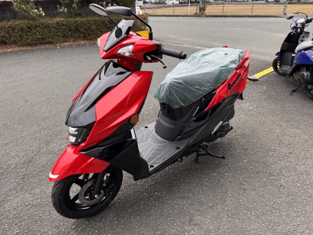 �X�Y�L�A���F�j�X125�i���Q���쑽�S���q���j�摜7