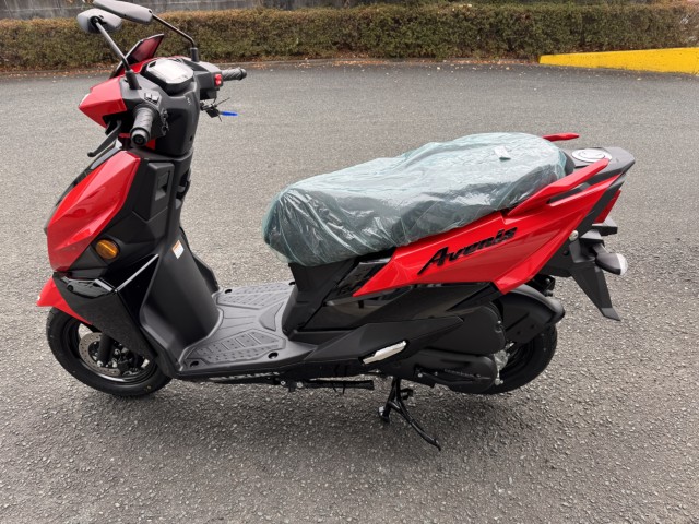 �X�Y�L�A���F�j�X125�i���Q���쑽�S���q���j�摜9