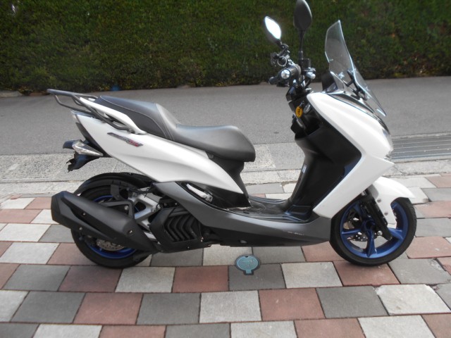 ���}�n�}�W�F�X�e�BS�i�L�����L���s�����k��j�摜2