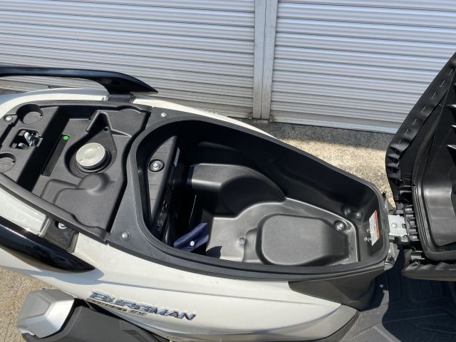 �X�Y�L�o�[�O�}���X�g���[�g125EX�i�L�����L���s�������j�摜17