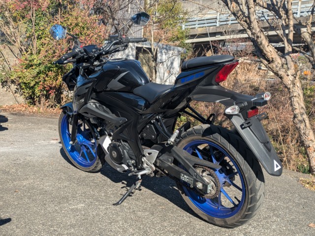 �X�Y�LGSX-S125�i���Q�������s�j�摜6