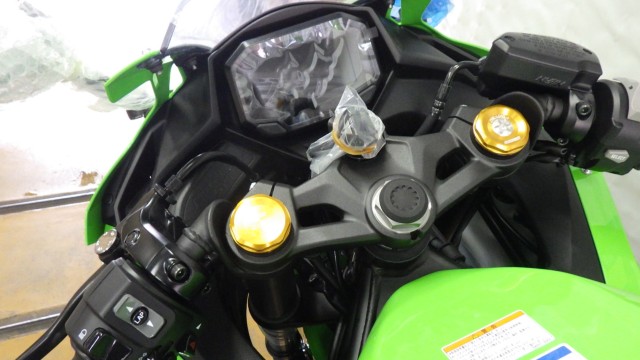 �J���T�LNinja ZX-4R�i���Q�����R�s�j�摜20