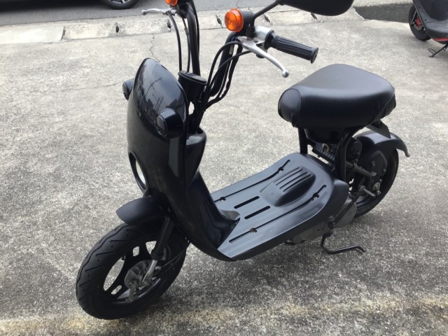 �X�Y�L�`���C�m���i���R�����R�s�j�摜2