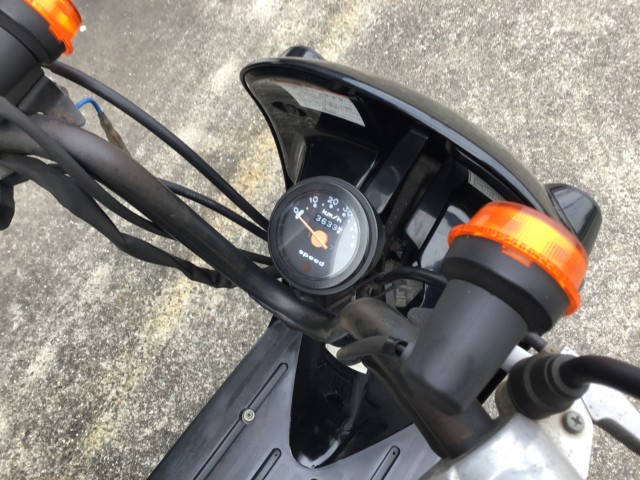 �X�Y�L�`���C�m���i���R�����R�s�j�摜3