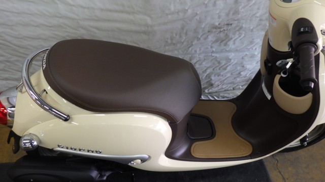 �z���_�W�����m�i���Q�����R�s�j�摜6