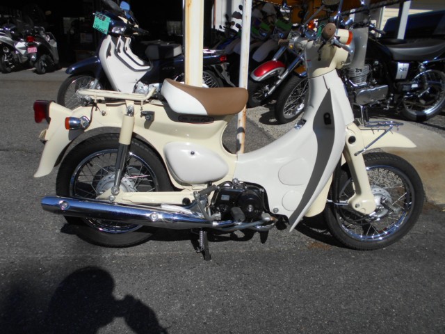 �z���_���g���J�u�i���R������S�������j�摜1