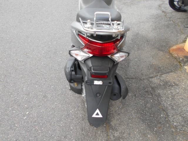 �z���_�f�B�I110�i���R������S�������j�摜6