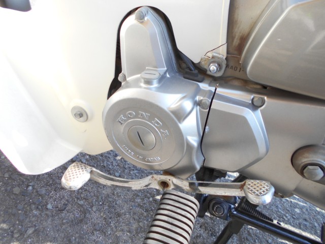 �z���_�X�[�p�[�J�u50�J�X�^���i���R������S�������j�摜13