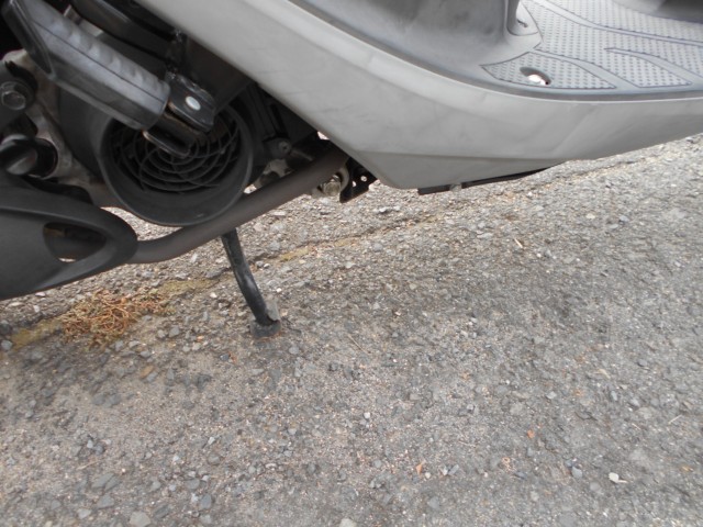 �z���_�f�B�I110�i���R������S�������j�摜8