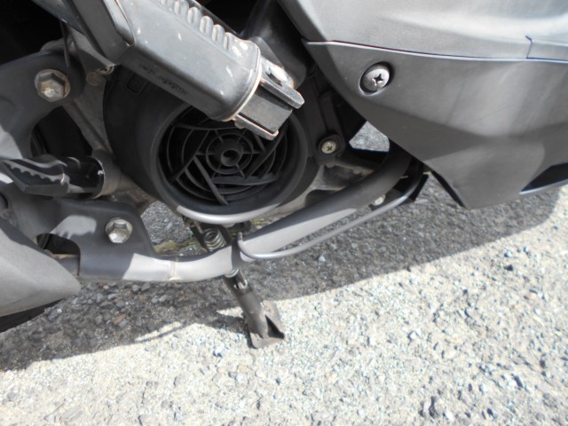 �X�Y�L�A�h���X110�i���R������S�������j�摜9