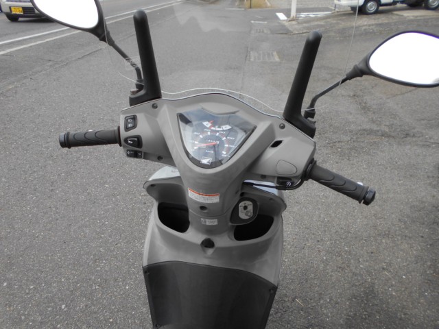 �z���_�f�B�I110�i���R������S�������j�摜10