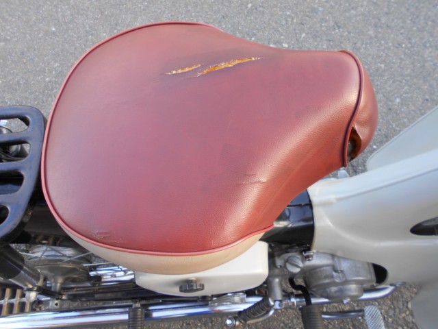 �z���_C105�i���R������S�������j�摜10