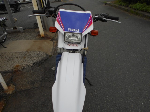 ���}�nTT250R�i���R������S�������j�摜14