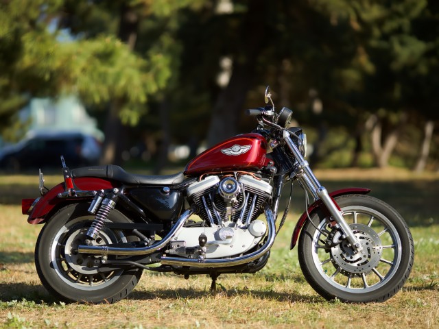 �n�[���[�n�[���[�_�r�b�h�\��XL1200S�i���Q�����R�s�j�摜1