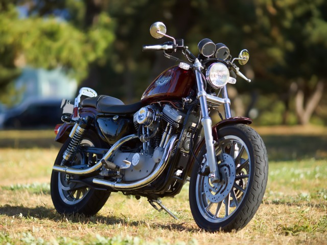 �n�[���[�n�[���[�_�r�b�h�\��XL1200S�i���Q�����R�s�j�摜2