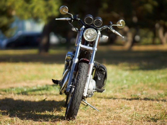 �n�[���[�n�[���[�_�r�b�h�\��XL1200S�i���Q�����R�s�j�摜4