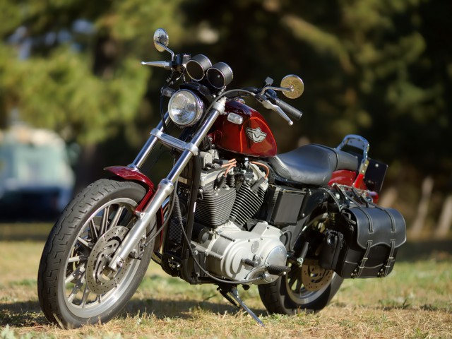 �n�[���[�n�[���[�_�r�b�h�\��XL1200S�i���Q�����R�s�j�摜3